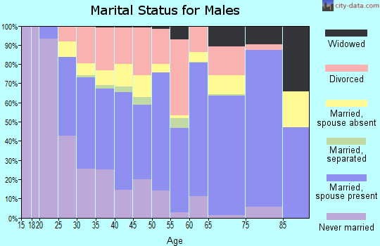 Freestone County marital status for males