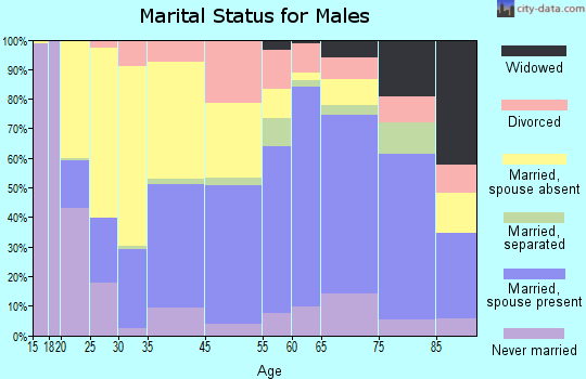 Clinton County marital status for males