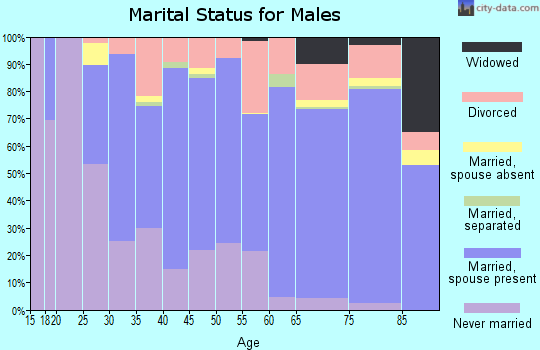 Rockbridge County marital status for males