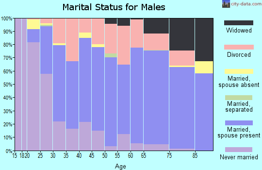 Vermillion County marital status for males