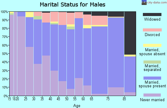 Watonwan County marital status for males