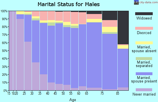 Warren County marital status for males
