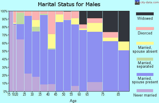 Gaines County marital status for males