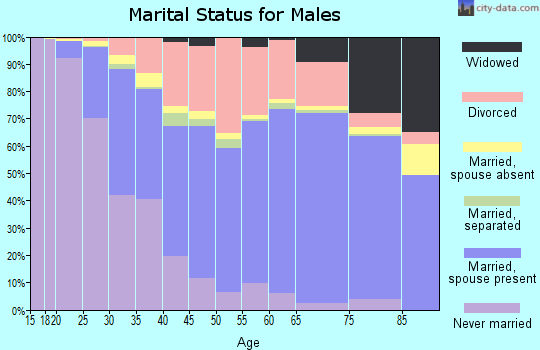 Vigo County marital status for males
