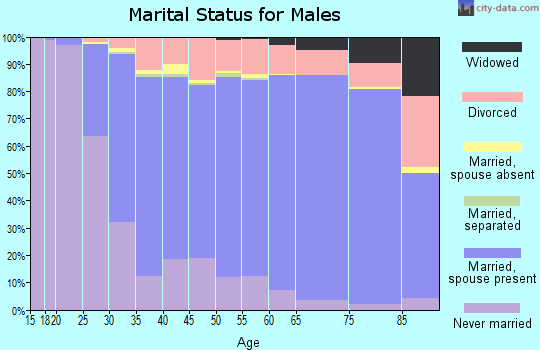 Story County marital status for males