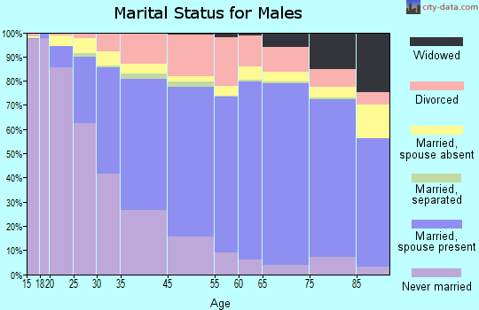 Branch County marital status for males