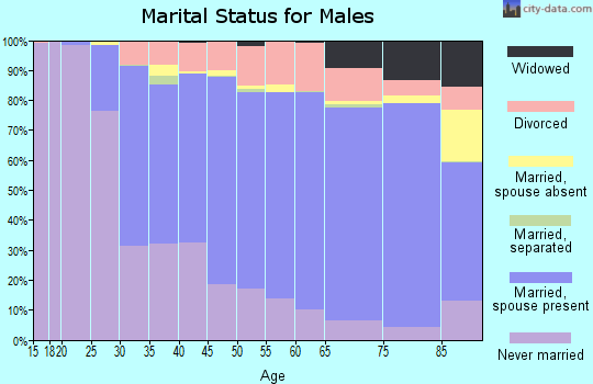 Winona County marital status for males