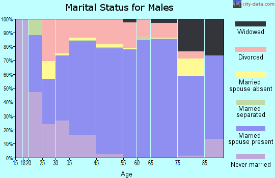 Clarke County marital status for males