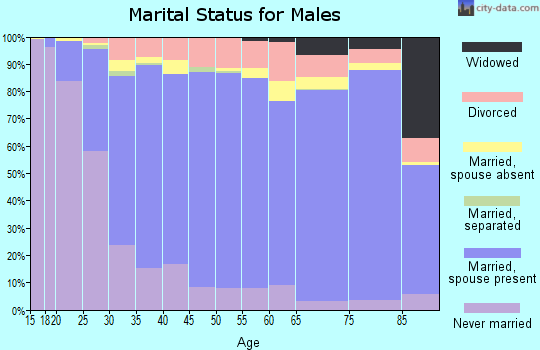 Wright County marital status for males
