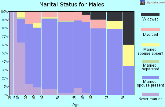 Deer Lodge County marital status for males