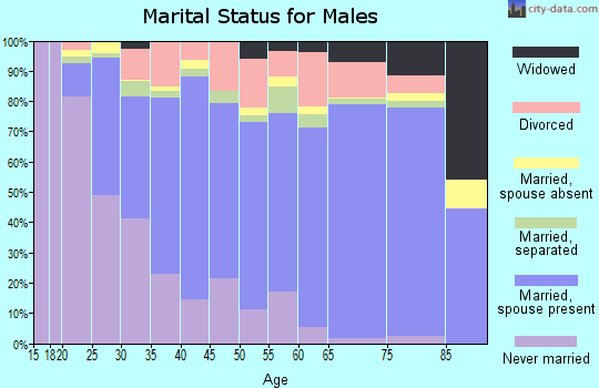 Surry County marital status for males
