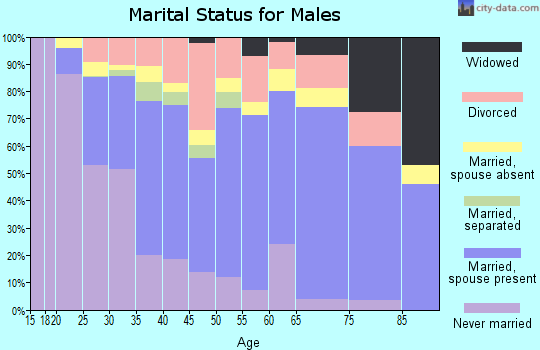 Unicoi County marital status for males