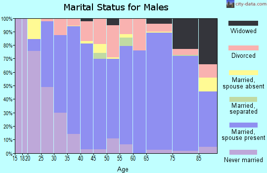 Gillespie County marital status for males