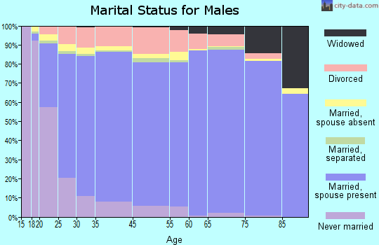 Nye County marital status for males