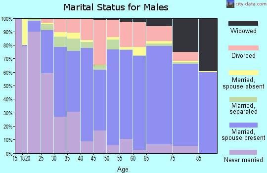 Smyth County marital status for males