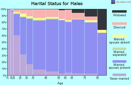 Burke County marital status for males