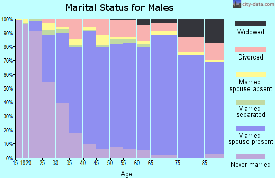 Spotsylvania County marital status for males