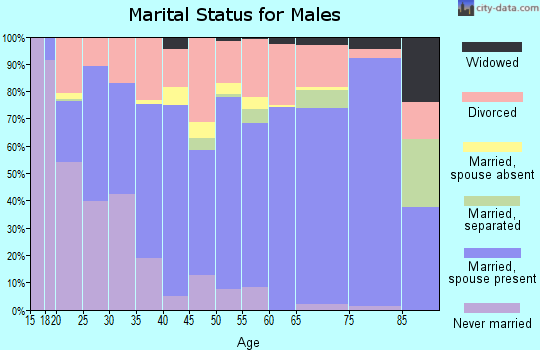 Ripley County marital status for males