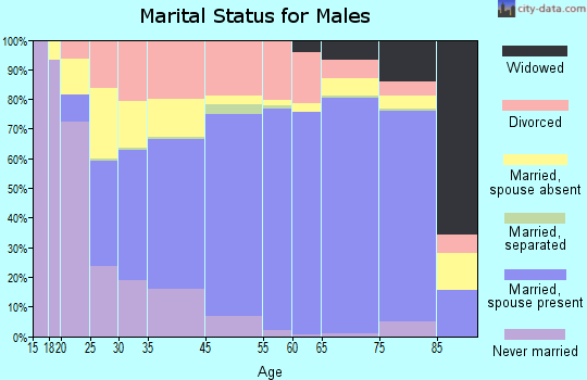 Chester County marital status for males