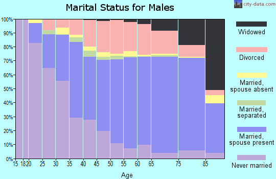 Vermilion County marital status for males