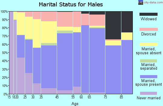 Juab County marital status for males
