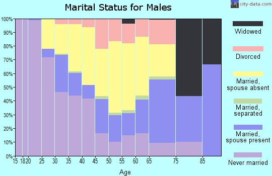 North Slope Borough marital status for males