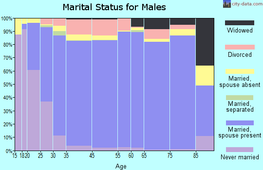 Botetourt County marital status for males