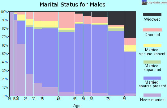 Baker County marital status for males