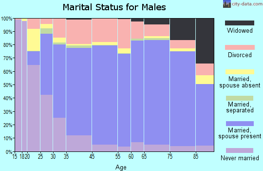 Armstrong County marital status for males