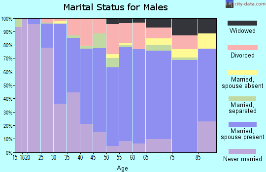 McDuffie County marital status for males