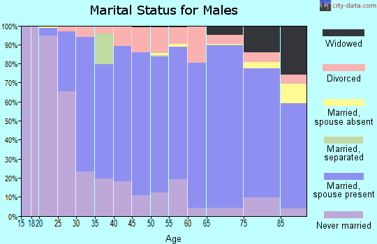 Winneshiek County marital status for males