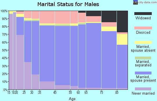 Clarke County marital status for males