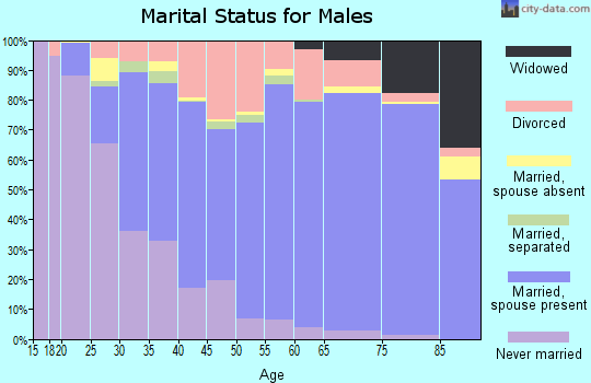 Whiteside County marital status for males