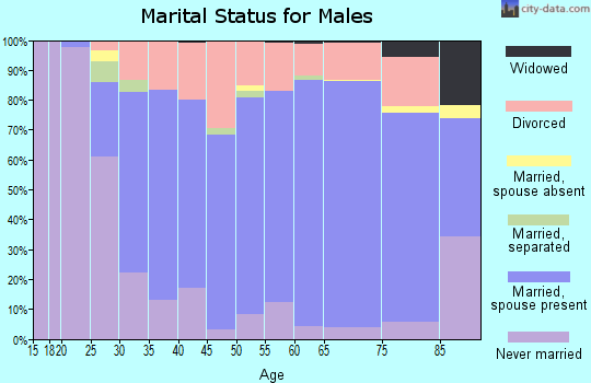 Worth County marital status for males