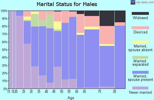 Appomattox County marital status for males