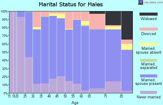Wabaunsee County marital status for males