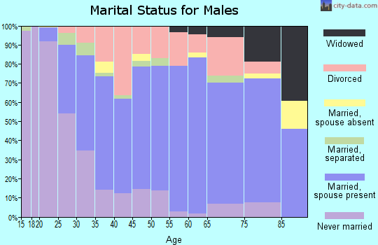 Wythe County marital status for males