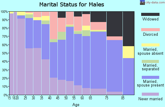 Meriwether County marital status for males