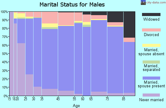 Camas County marital status for males