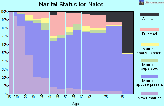 Stoddard County marital status for males