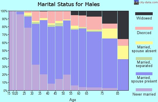 Hays County marital status for males