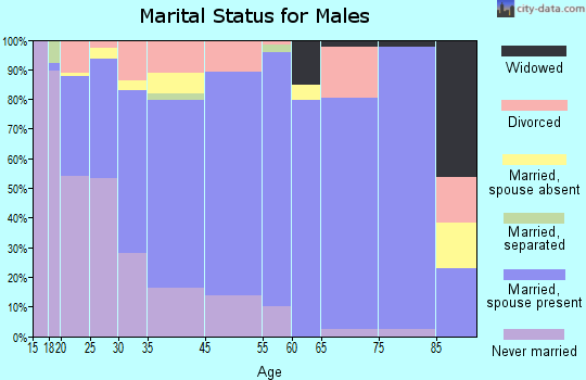 Somerset County marital status for males