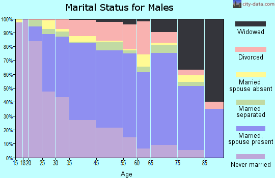 Honolulu County marital status for males