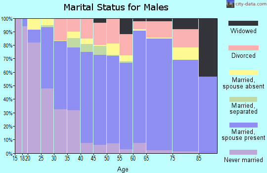 Hockley County marital status for males