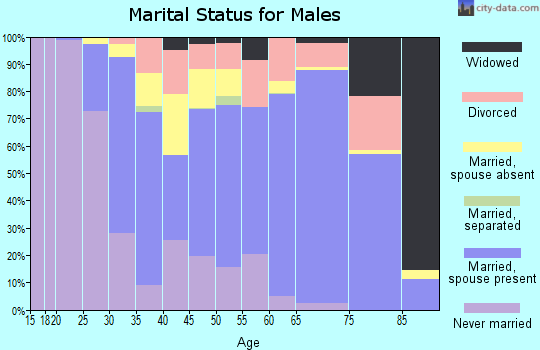 Sitka City and Borough marital status for males