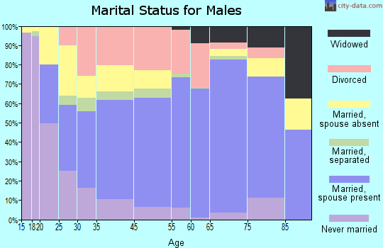 Clay County marital status for males