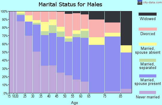 Houston County marital status for males