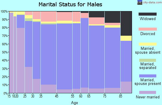 Fallon County marital status for males