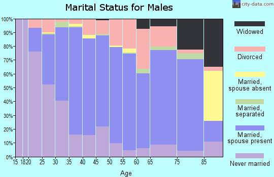 Webster County marital status for males