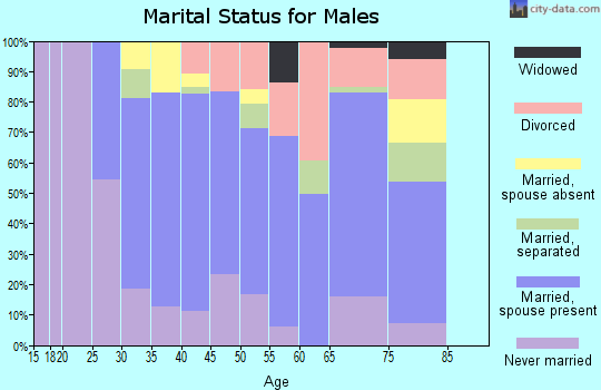 Schley County marital status for males